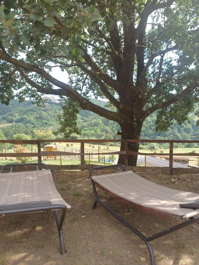 Agriturismo Cisogna Villa Anagni Esterno foto